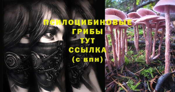 амф Усолье-Сибирское