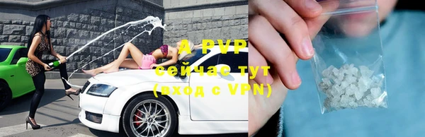 прущие грибы Усинск