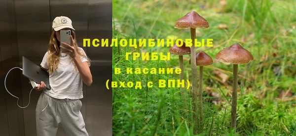 спайс Великий Новгород