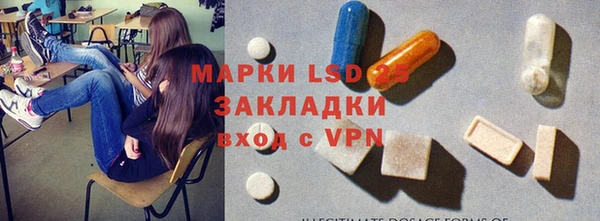 прущие грибы Усинск