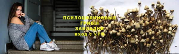 гашик Усмань